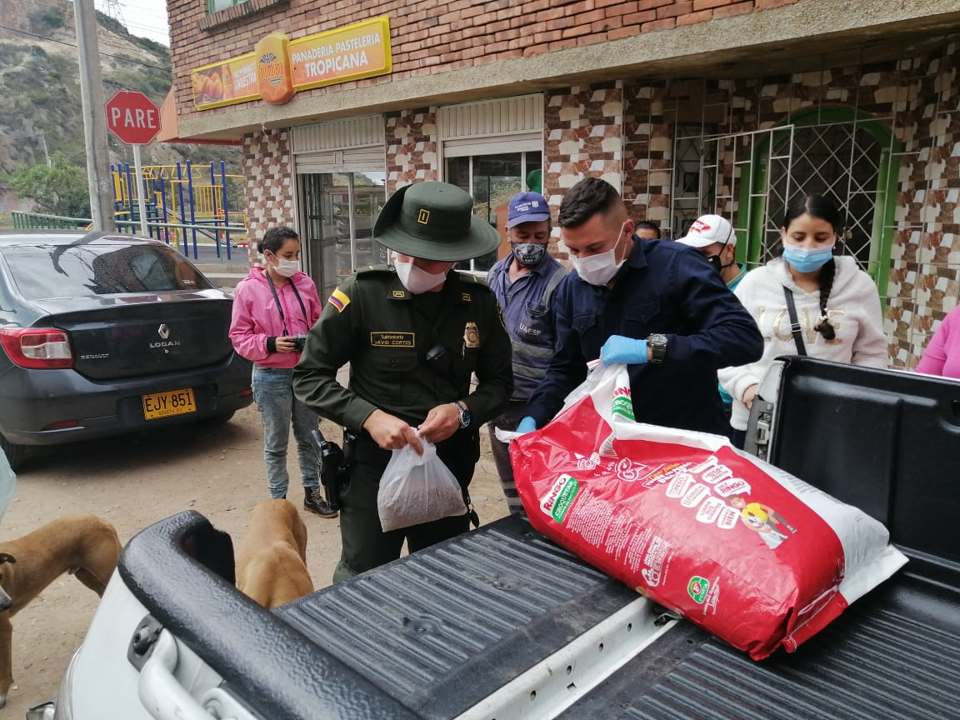 Realizamos campañas de bienestar animal3