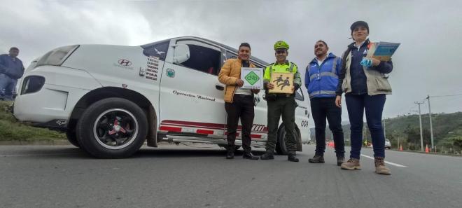 Campañas viales