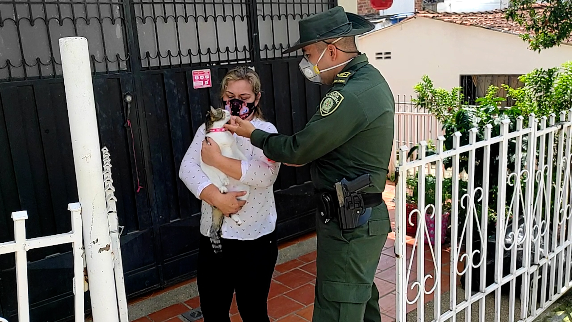 Recomendaciones  para nuestras mascotas en Halloween 2