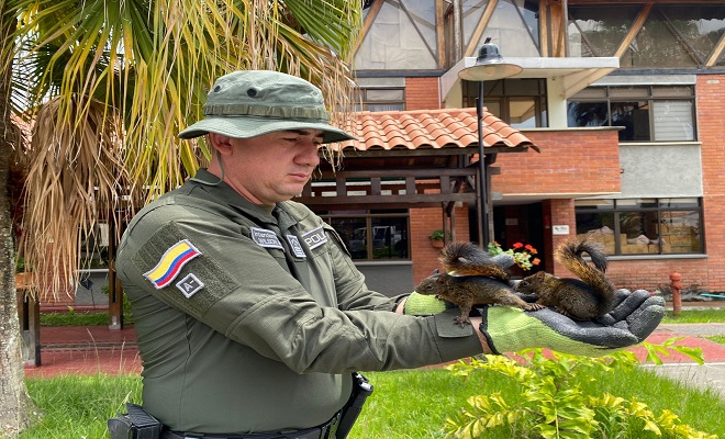 Fueron entregadas por la comunidad en el sector del CAM en Armenia