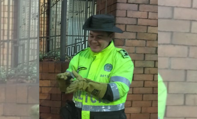  se logró el rescate de una especie de fauna silvestre