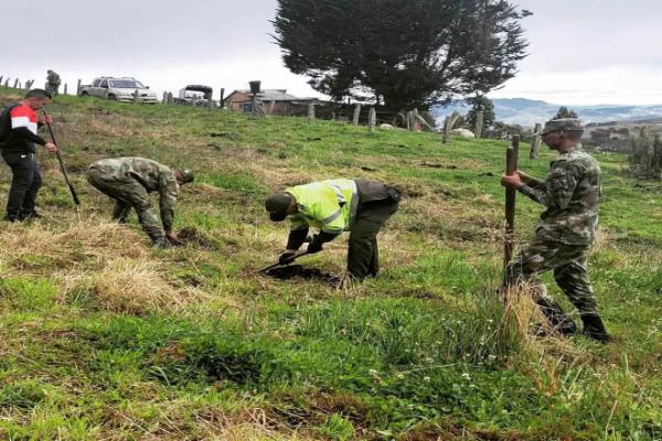 Reforestación_Cucaita_1