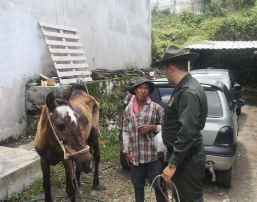 ¡Rescate animal! carabineros demuestran su compromiso con la protección y el bienestar animal
