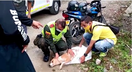 Tras escuchar detonaciones de pólvora se arrojó a una quebrada 