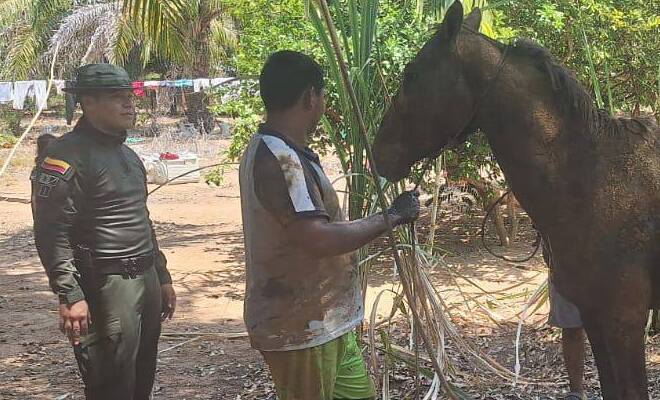 compromiso con la vida animal