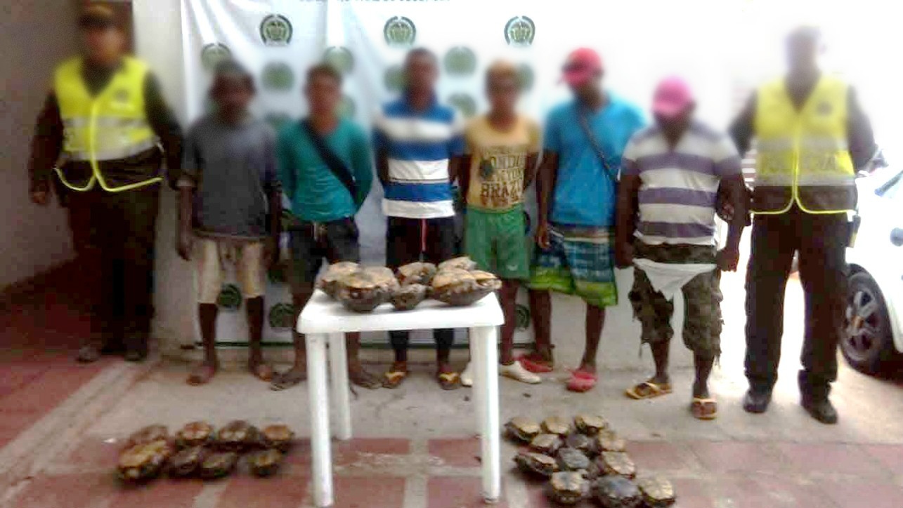 capturados-hicoteas-trafico-faunas-ambiental-salamina-magdalena