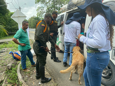 Más de mil hombres y mujeres prestaron su servicio de policía en las diferentes iglesias, templos religiosos y lugares turísticos en nuestra región de Urabá. 