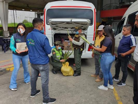 Semana Santa Controles