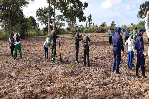 siembra-arboles-2
