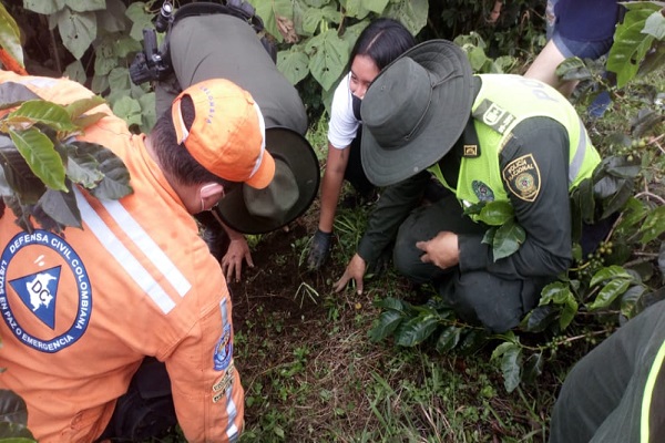 Conmemoramos nuestro aniversario con una siembra de árboles
