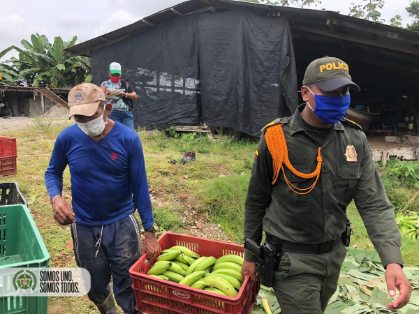 Los Carabineros apoyan el campo colombiano