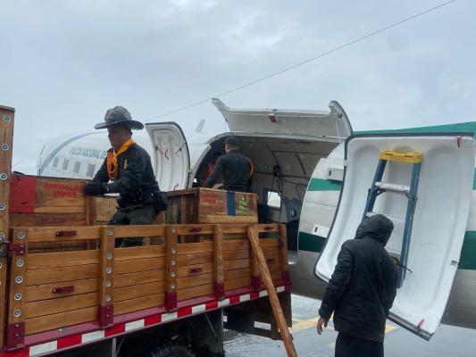 Transporte de aves rescatadas 