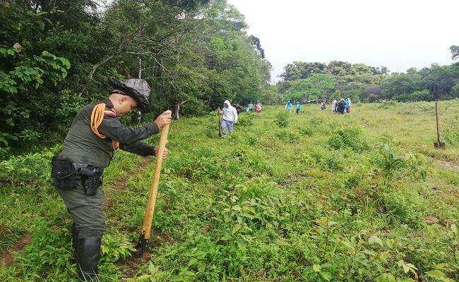 Siembra un árbol por tu planeta.