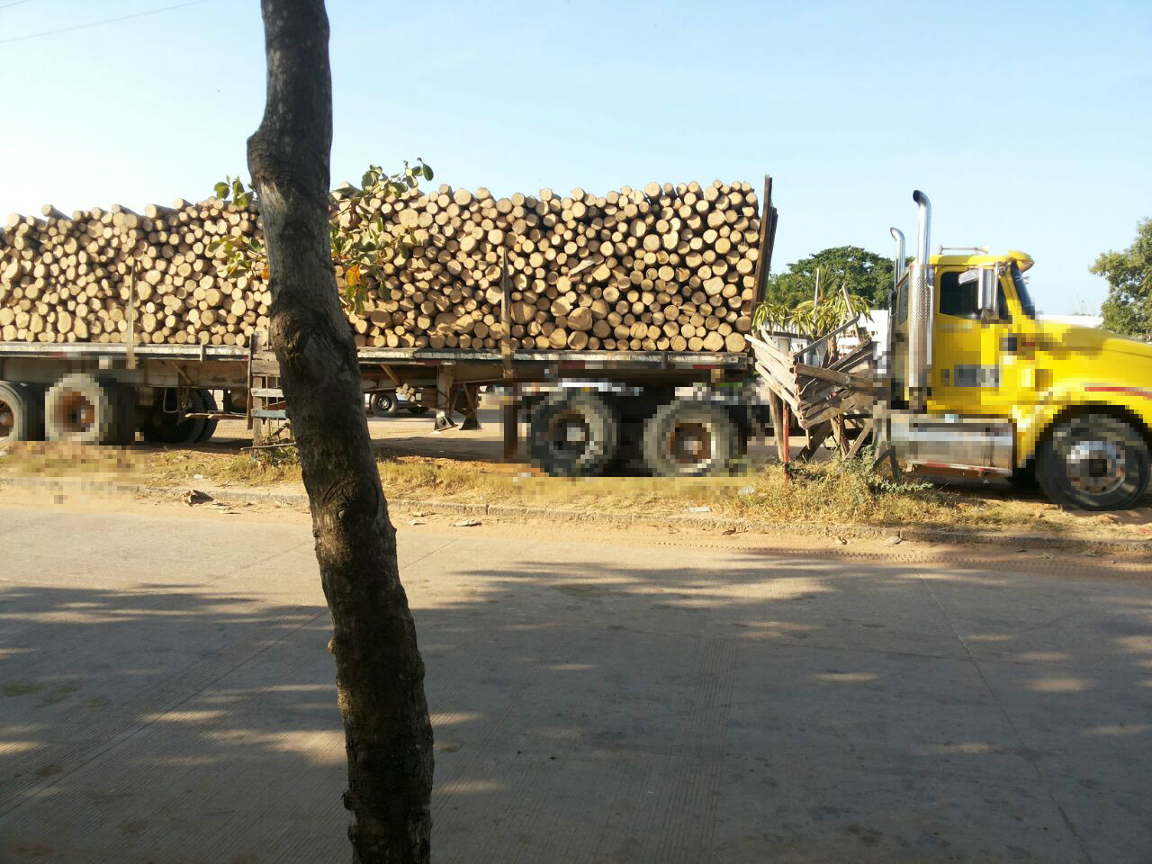 vehiculo-inmovilizado-trafico-ilegal-madera-fauna-flora-pivijay-magdalena
