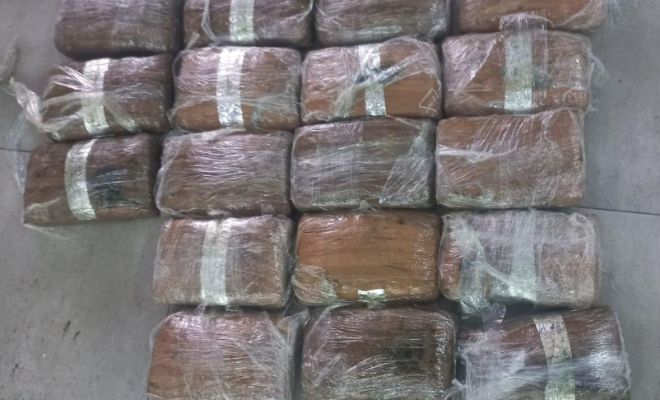 19.080 gramos de marihuana distribuidos en 18 paquetes plásticos.