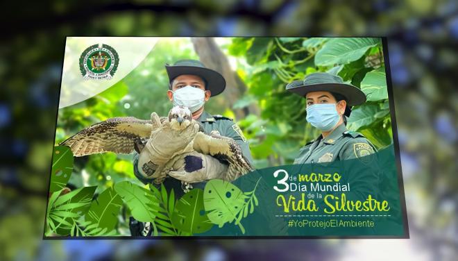 Con nuestro grupo de ambiental velamos por el cuidado de los animales