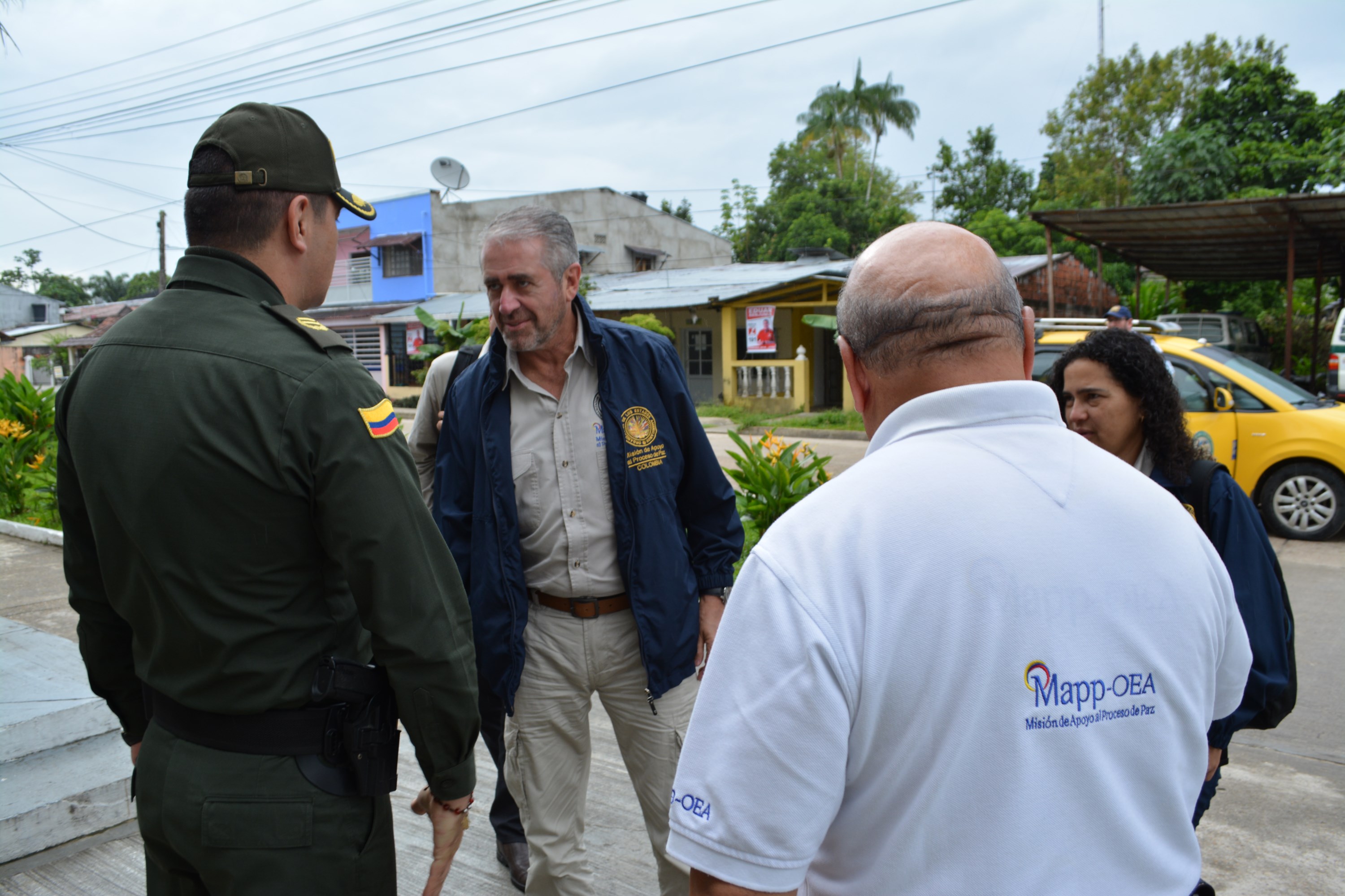 comisión especial de la OEA 