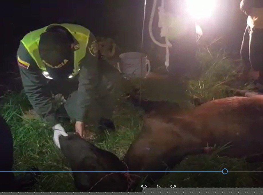 y con heridas que le pudieron causar la muerte