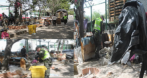 recuperacion de parque