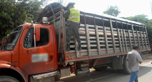 ganado_meta_operativos