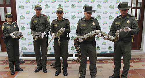 151214-bucaramanga-especies-fauna