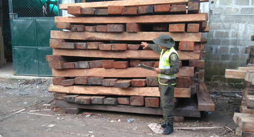 201015-incautacion-madera-choco