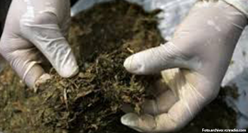 010215-incautacion-marihuana