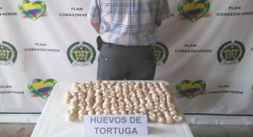 captura-huevos-tortuga