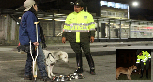 encantadores-caninos-guias