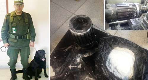 CANINO-BRACO-policia-detecta cocaina-camuflada-antonarcoticos