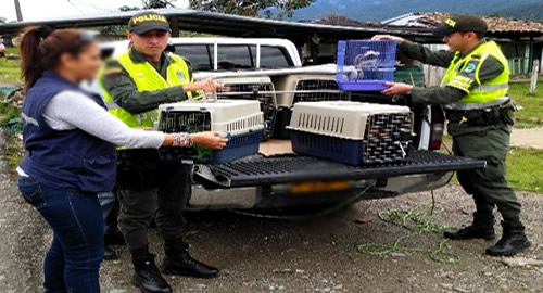 rescate-animales-putumayo