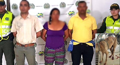 maltrato animal-magdalena-capturados-LEY 1774 del 06 de 2016