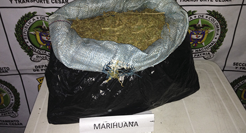 151214-cesar-maruhuana-incautada