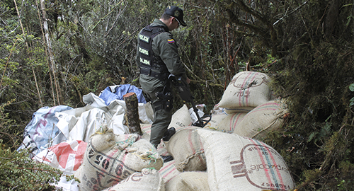 291114-recuperacion-cafe-extradicion-manizales