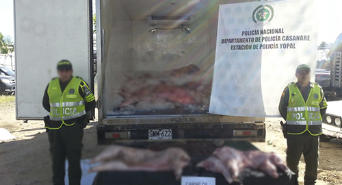 271114-incautacion-carne-yopal