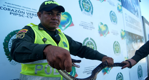 boa-rescate-amazonas