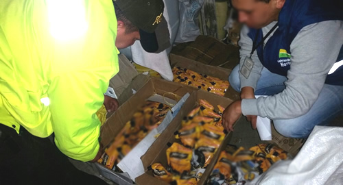 licro-pasto-adulterado-navidad