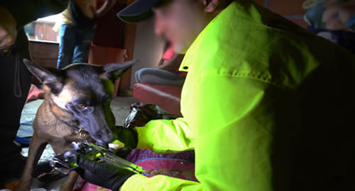 operativos-medellin-narcotrafico