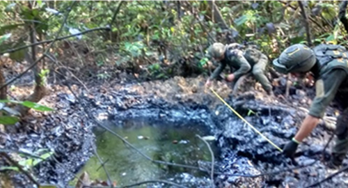 en cordoba operativos para preservar especies
