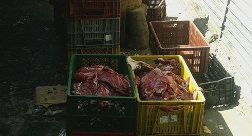 100116-carne-descomposicion-incautada-bazurto