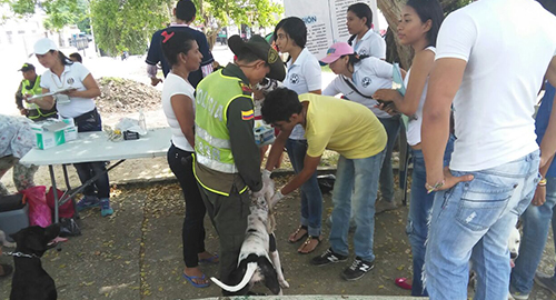 130815-actividad-canina-falina-animales-policia-sincelejo