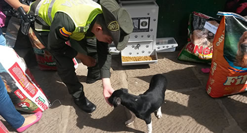 comedog-santander-policia-caninos-abandonados