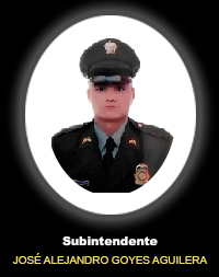 Subindente JOS&Eacute; ALEJANDRO GOYES AGUILERA